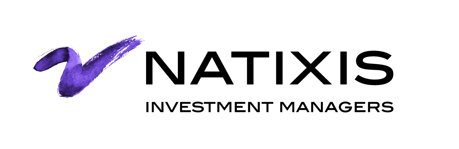 Logo Natixis_IM_regular size