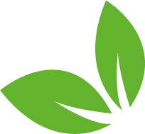 foglie_verde_chiaro