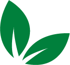 foglie_verde_scuro